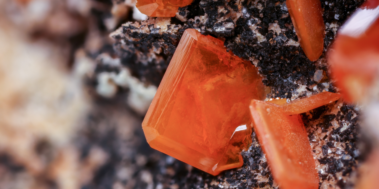Minerals to Enhance Your Life and Wellness